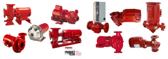 photo_bg_pumps.jpg 